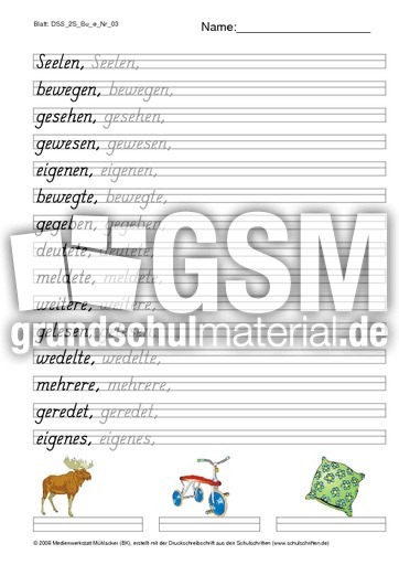 DSS_2S_Bu_e_Nr_03.pdf